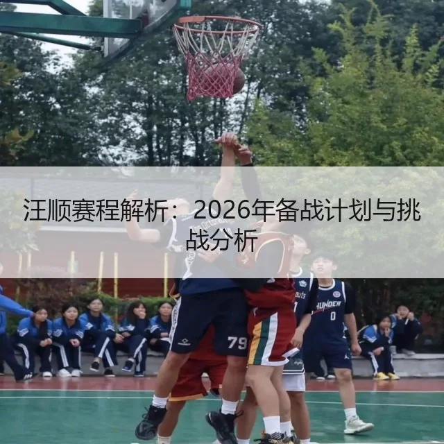 汪顺赛程解析：2026年备战计划与挑战分析